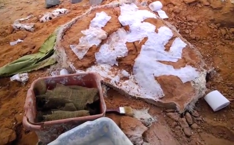 Illustration for article titled This is What it's Like to Excavate a Dinosaur Nest in Person